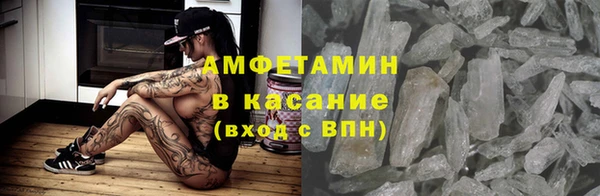 стаф Алзамай