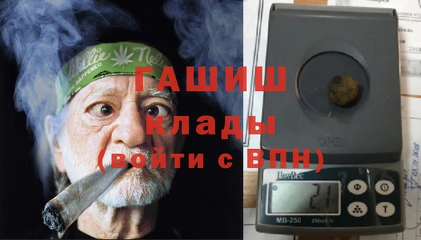 стаф Алзамай