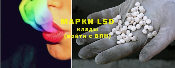 стаф Алзамай