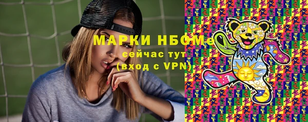 стаф Алзамай