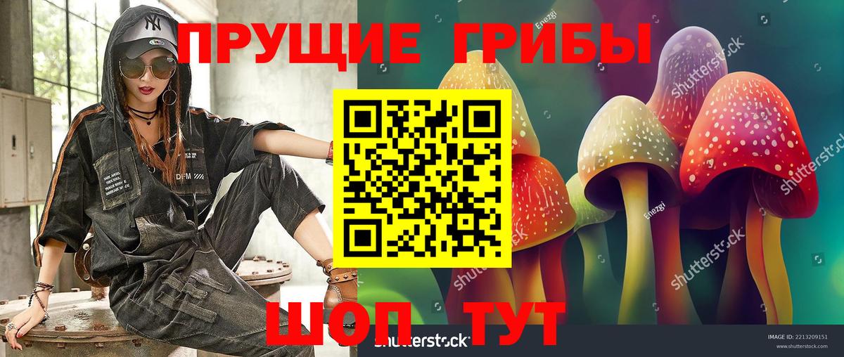Псилоцибиновые грибы мицелий Мичуринск