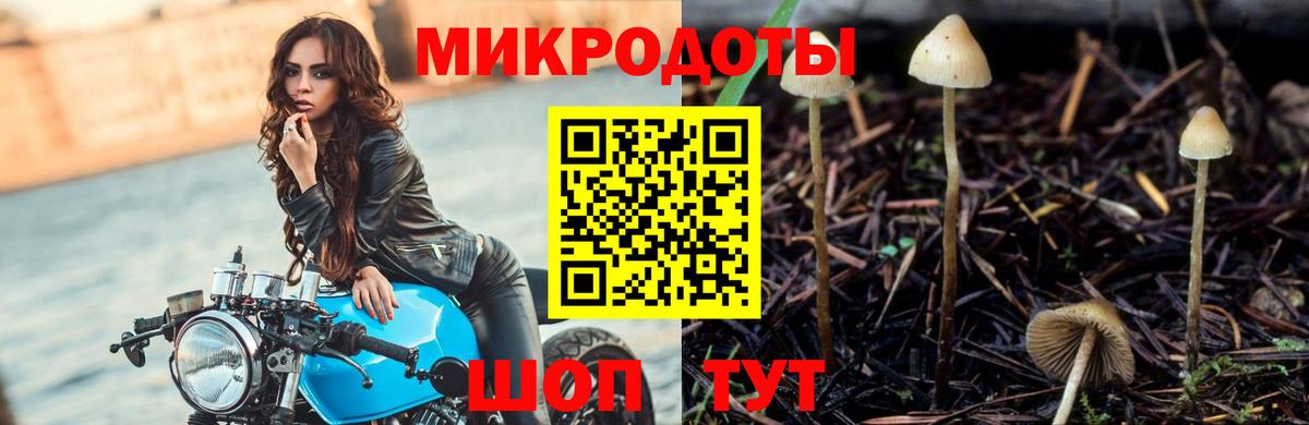 Мичуринск  Псилоцибиновые грибы мицелий  Вход с VPN 